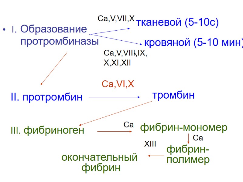 I. Образование        протромбиназы тканевой (5-10с) Ca,V,VII,X Ca,V,VIII,IX,
